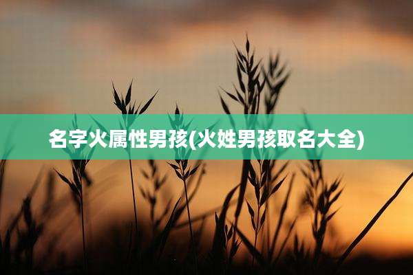 名字火属性男孩(火姓男孩取名大全)