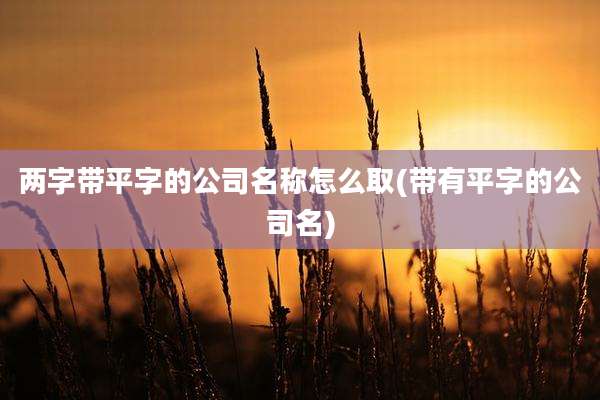 两字带平字的公司名称怎么取(带有平字的公司名)