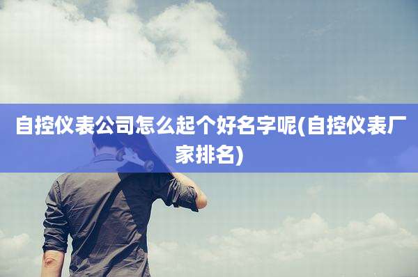 自控仪表公司怎么起个好名字呢(自控仪表厂家排名)