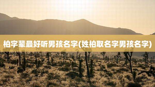 柏字辈最好听男孩名字(姓柏取名字男孩名字)