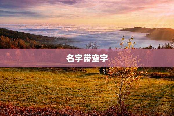 名字带空字