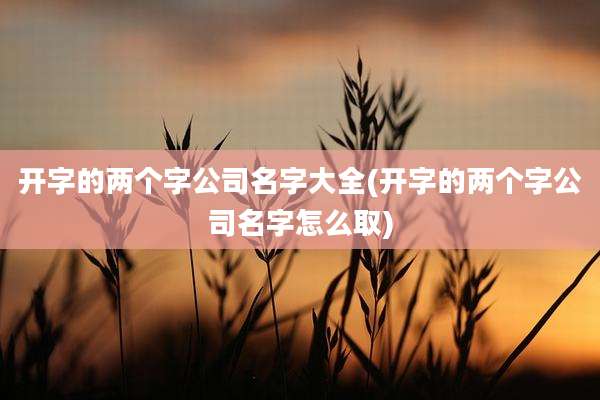 开字的两个字公司名字大全(开字的两个字公司名字怎么取)