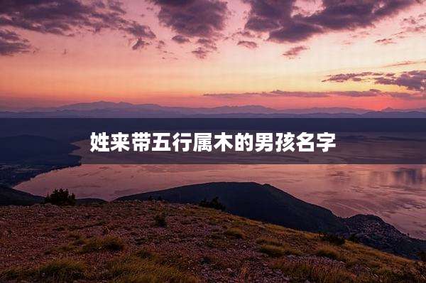 姓来带五行属木的男孩名字