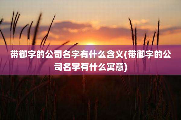 带御字的公司名字有什么含义(带御字的公司名字有什么寓意)