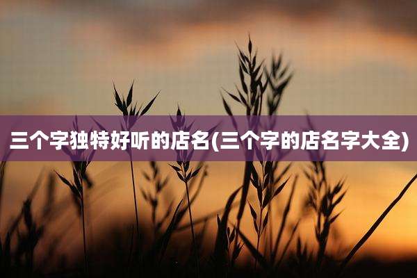 三个字独特好听的店名(三个字的店名字大全)