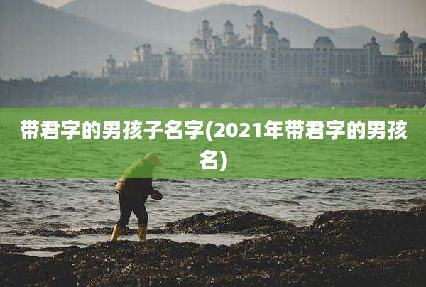 带君字的男孩子名字(2021年带君字的男孩名)
