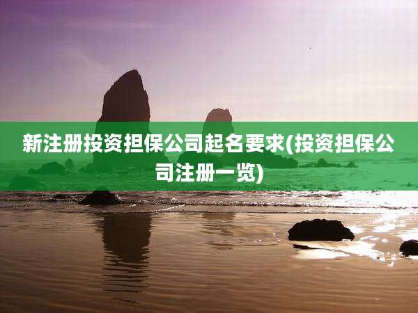 新注册投资担保公司起名要求(投资担保公司注册一览)