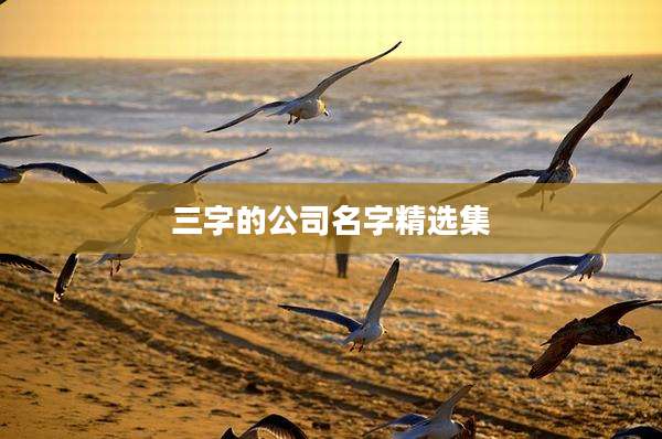 三字的公司名字精选集