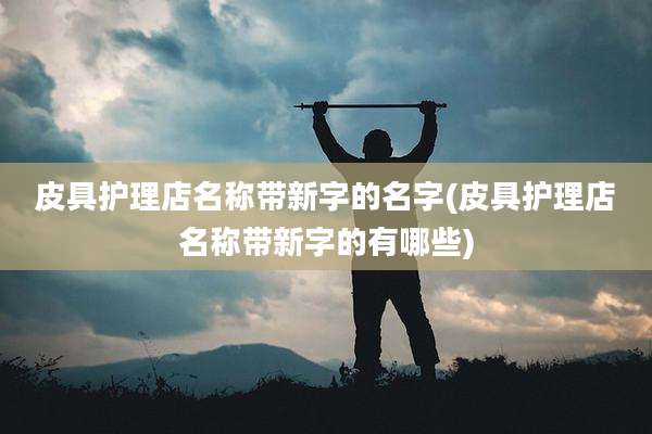 皮具护理店名称带新字的名字(皮具护理店名称带新字的有哪些)