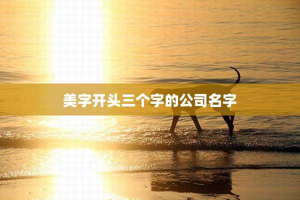 美字开头三个字的公司名字