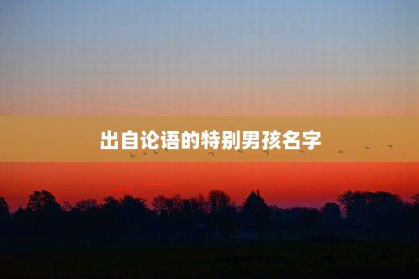 出自论语的特别男孩名字