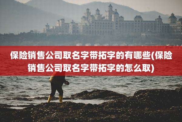 保险销售公司取名字带拓字的有哪些(保险销售公司取名字带拓字的怎么取)