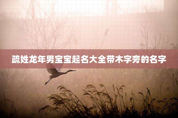 疏姓龙年男宝宝起名大全带木字旁的名字