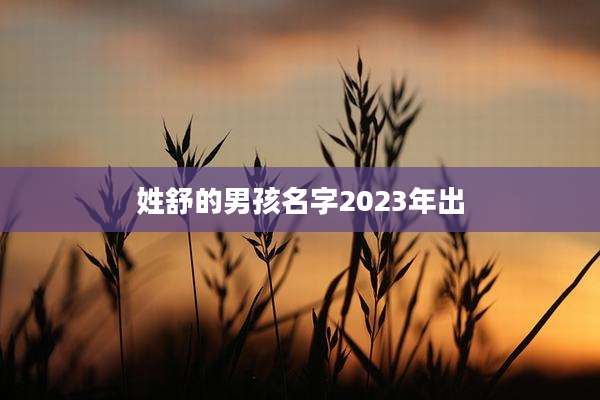 姓舒的男孩名字2023年出