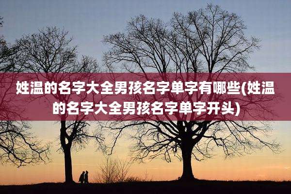 姓温的名字大全男孩名字单字有哪些(姓温的名字大全男孩名字单字开头)