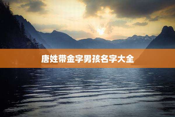 唐姓带金字男孩名字大全