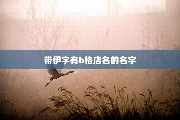 带伊字有b格店名的名字