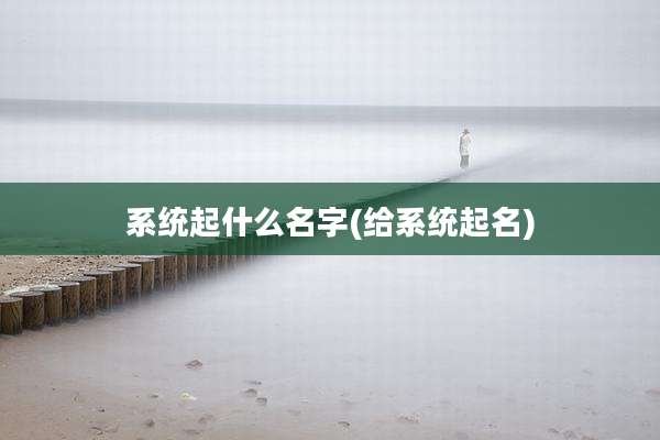 系统起什么名字(给系统起名)
