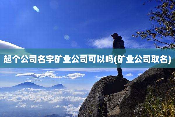 起个公司名字矿业公司可以吗(矿业公司取名)