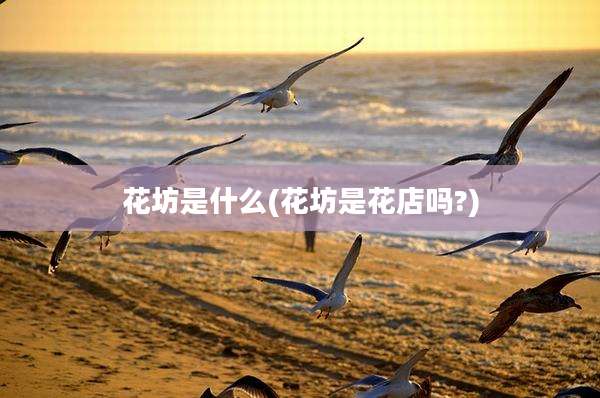 花坊是什么(花坊是花店吗?)