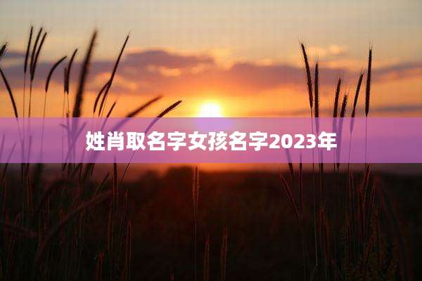姓肖取名字女孩名字2023年