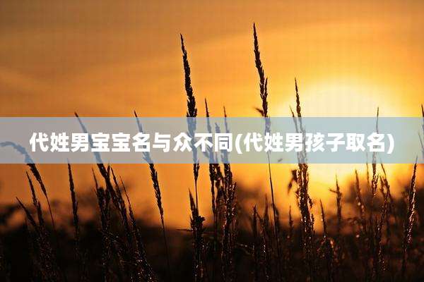 代姓男宝宝名与众不同(代姓男孩子取名)