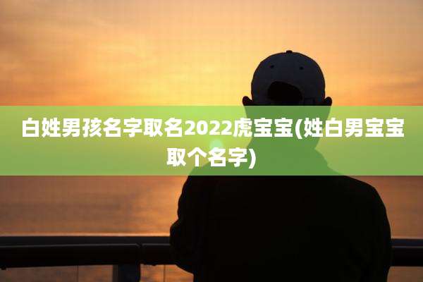 白姓男孩名字取名2022虎宝宝(姓白男宝宝取个名字)