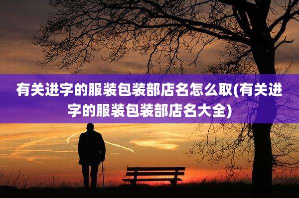 有关进字的服装包装部店名怎么取(有关进字的服装包装部店名大全)