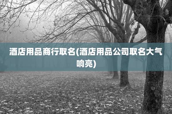 酒店用品商行取名(酒店用品公司取名大气响亮)