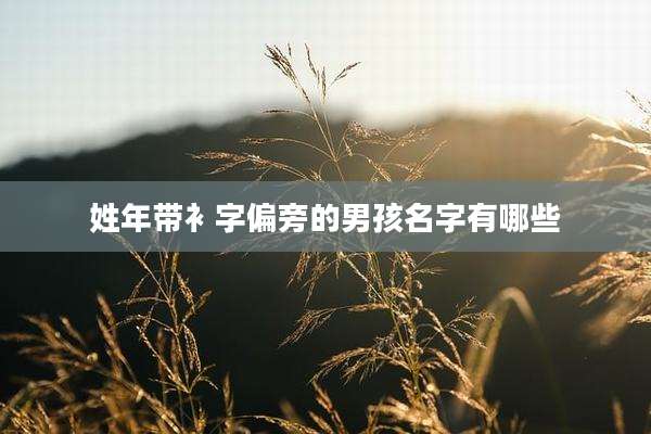 姓年带衤字偏旁的男孩名字有哪些