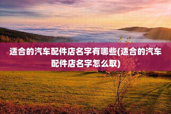 适合的汽车配件店名字有哪些(适合的汽车配件店名字怎么取)