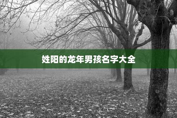 姓阳的龙年男孩名字大全