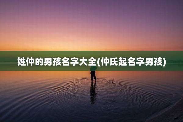 姓仲的男孩名字大全(仲氏起名字男孩)