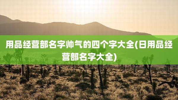 用品经营部名字帅气的四个字大全(日用品经营部名字大全)