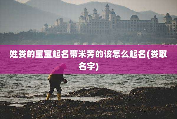姓娄的宝宝起名带米旁的该怎么起名(娄取名字)