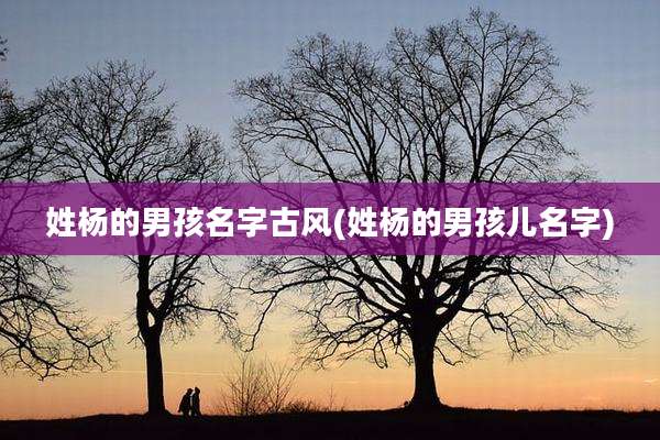 姓杨的男孩名字古风(姓杨的男孩儿名字)