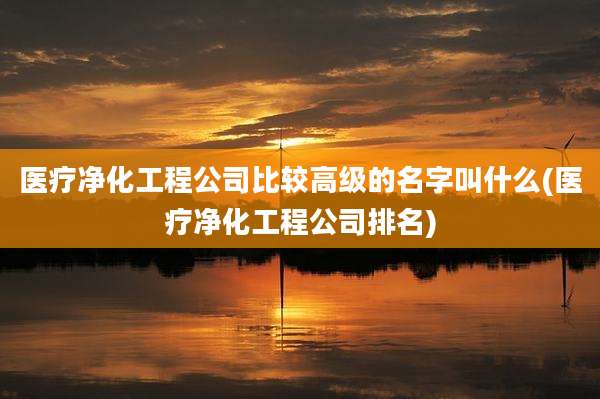 医疗净化工程公司比较高级的名字叫什么(医疗净化工程公司排名)
