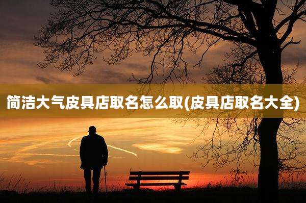 简洁大气皮具店取名怎么取(皮具店取名大全)