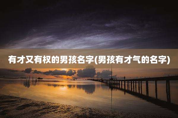 有才又有权的男孩名字(男孩有才气的名字)