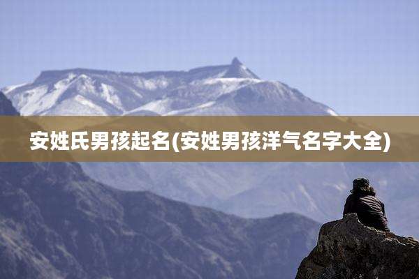 安姓氏男孩起名(安姓男孩洋气名字大全)