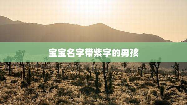 宝宝名字带紫字的男孩