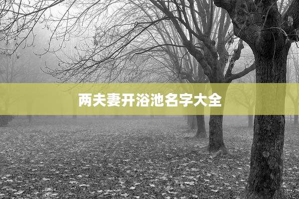 两夫妻开浴池名字大全