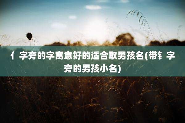 亻字旁的字寓意好的适合取男孩名(带钅字旁的男孩小名)