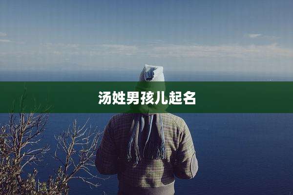 汤姓男孩儿起名