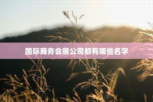 国际商务会展公司都有哪些名字