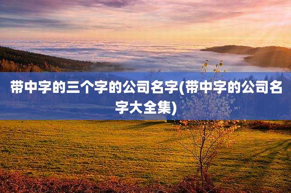 带中字的三个字的公司名字(带中字的公司名字大全集)