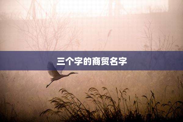 三个字的商贸名字