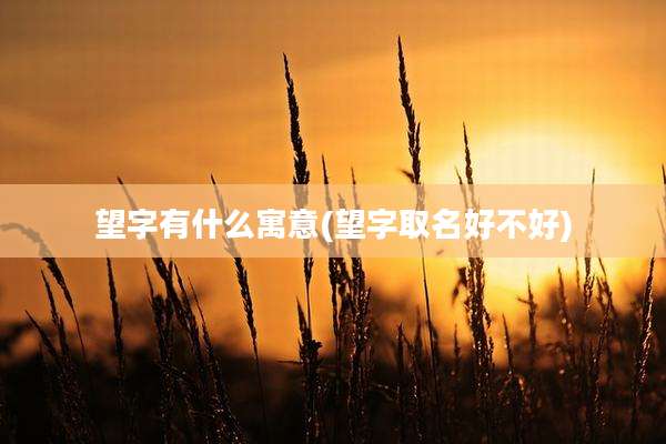 望字有什么寓意(望字取名好不好)