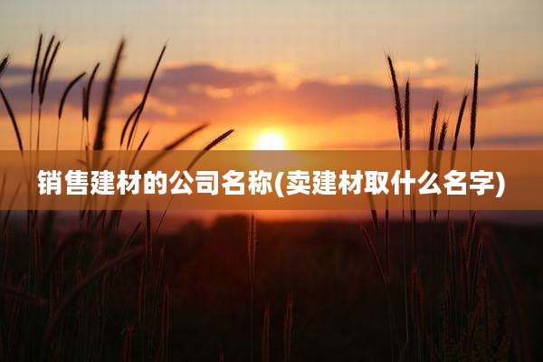 销售建材的公司名称(卖建材取什么名字)