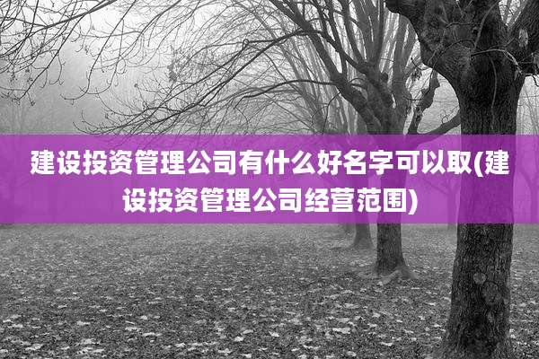 建设投资管理公司有什么好名字可以取(建设投资管理公司经营范围)